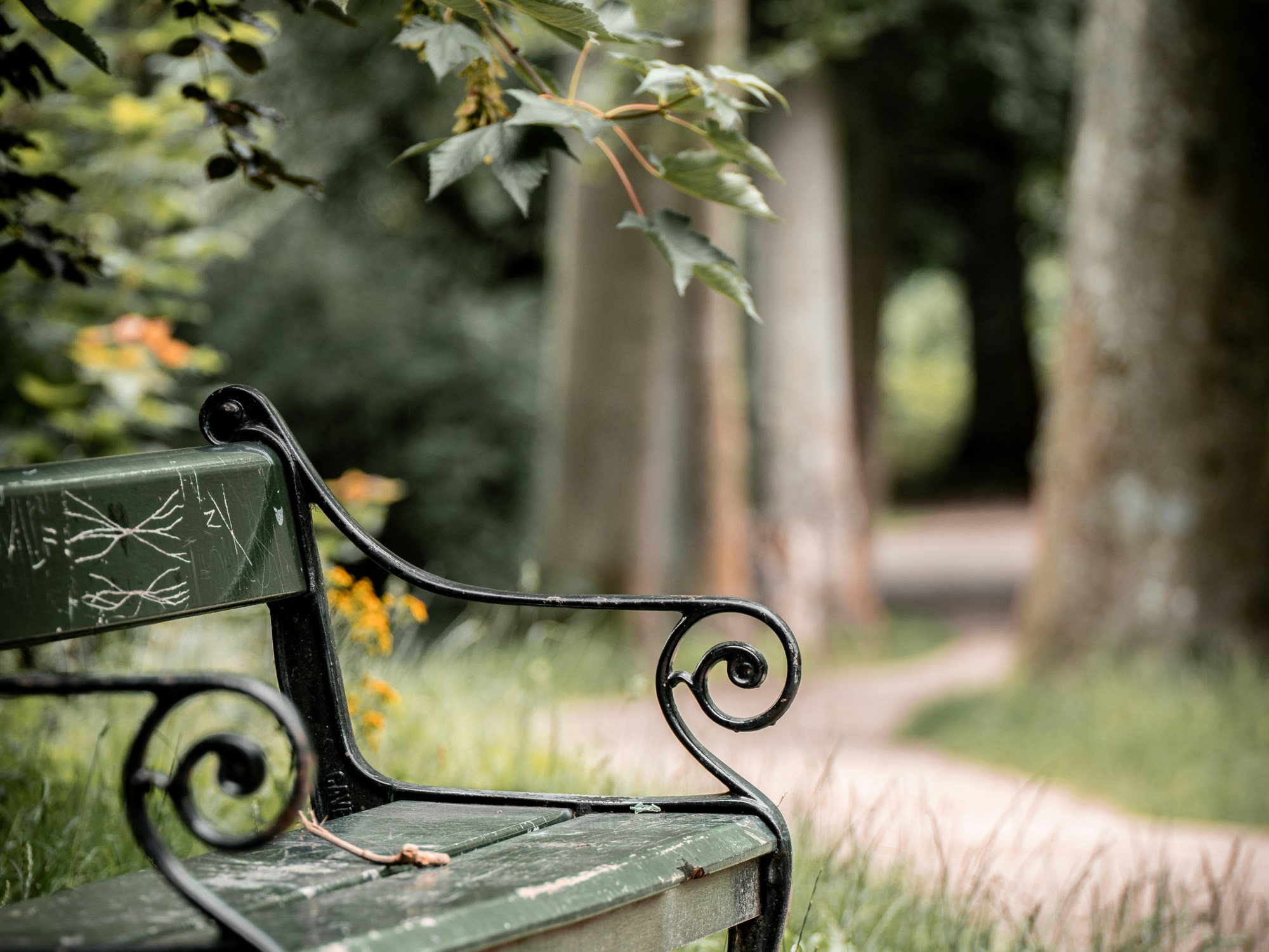 Create a resting place.